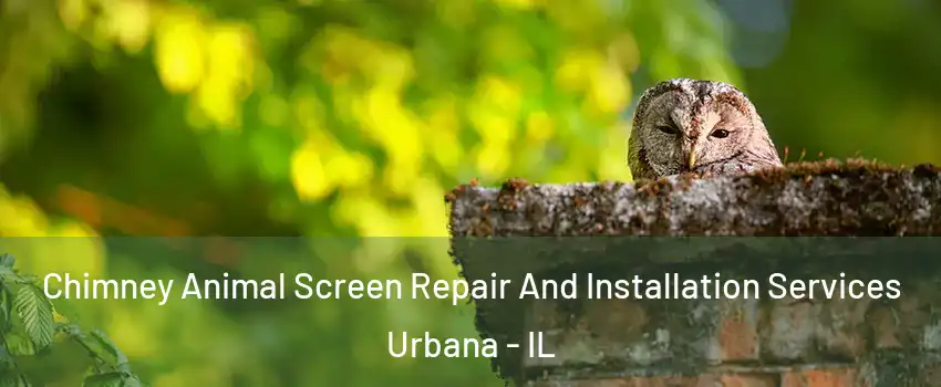  Chimney Animal Screen Repair And Installation Services Urbana - IL