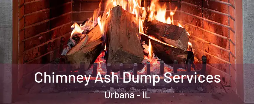  Chimney Ash Dump Services Urbana - IL