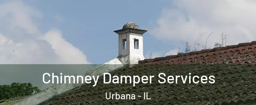  Chimney Damper Services Urbana - IL