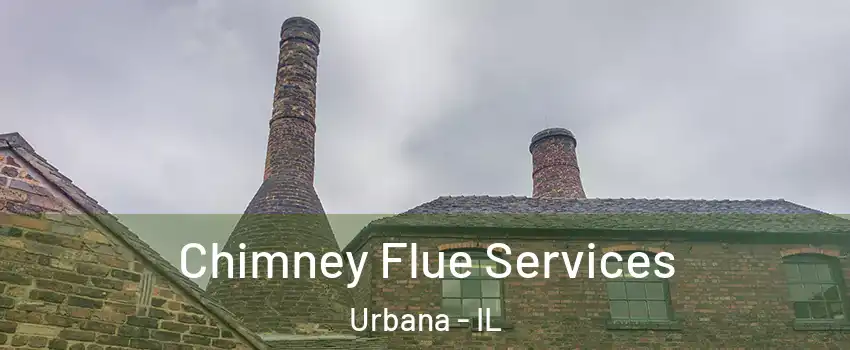  Chimney Flue Services Urbana - IL