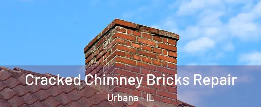  Cracked Chimney Bricks Repair Urbana - IL