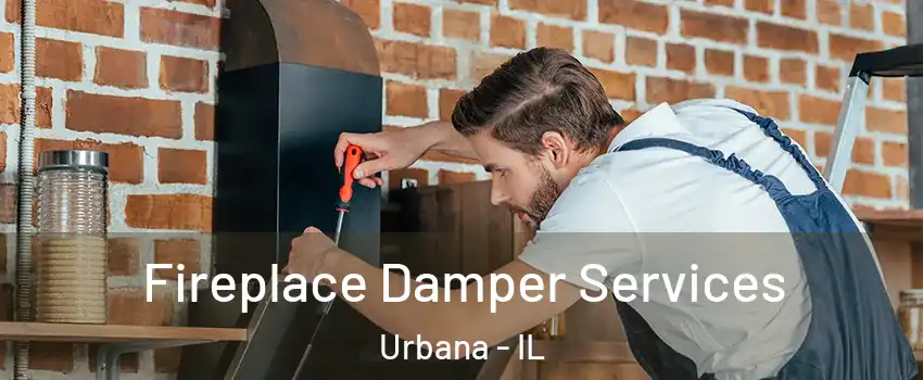  Fireplace Damper Services Urbana - IL