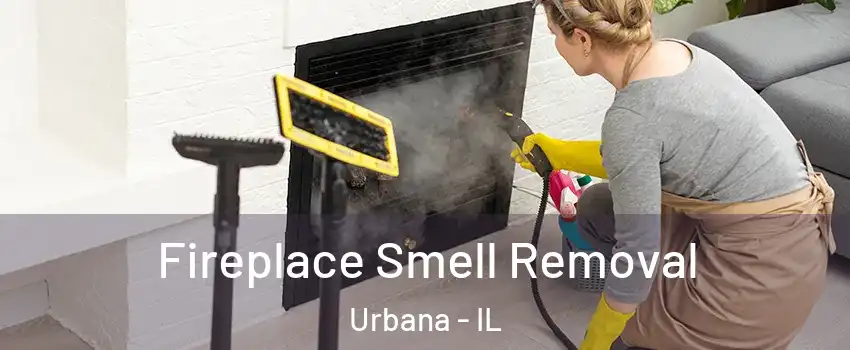  Fireplace Smell Removal Urbana - IL
