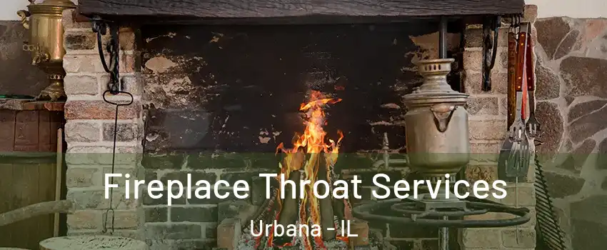 Fireplace Throat Services Urbana - IL