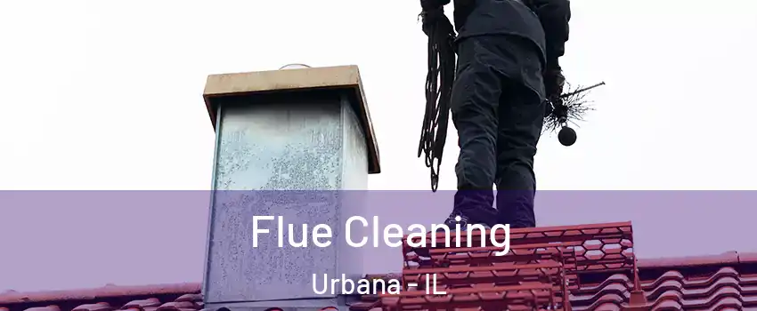  Flue Cleaning Urbana - IL