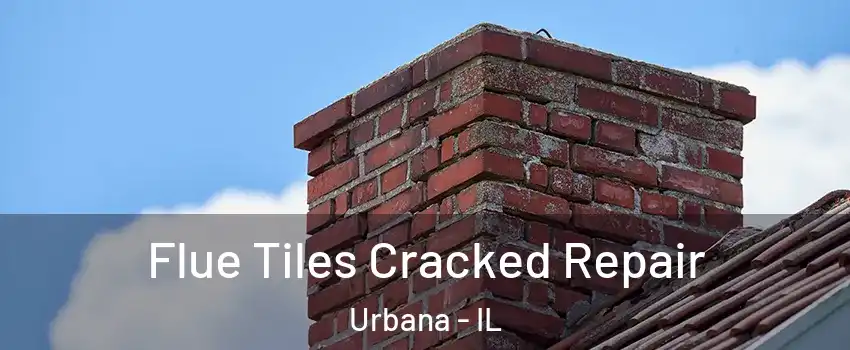  Flue Tiles Cracked Repair Urbana - IL