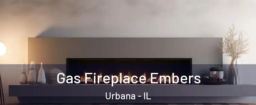  Gas Fireplace Embers Urbana - IL
