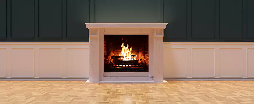 Napoleon Electric Fireplaces Inspection Service in Urbana, Illinois