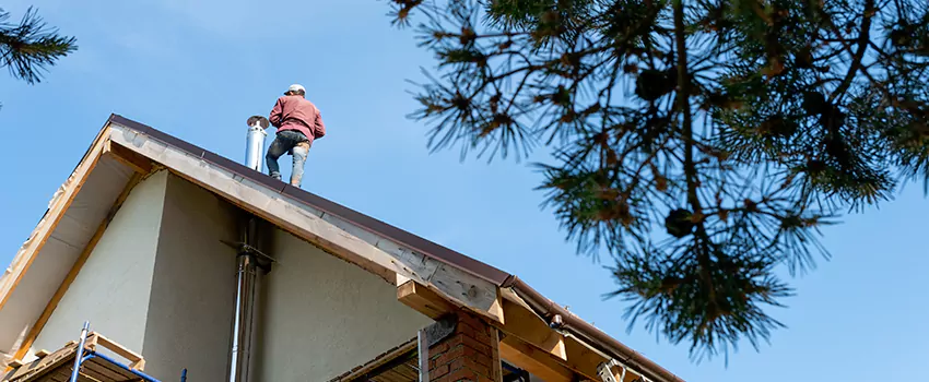 Birds Removal Contractors from Chimney in Urbana, IL