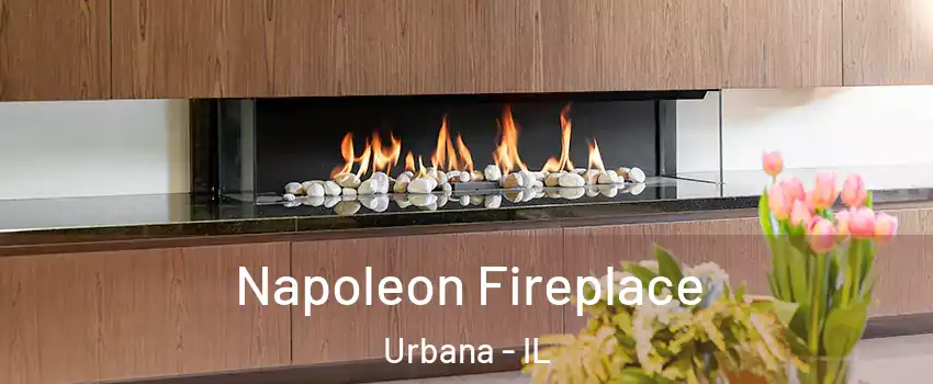  Napoleon Fireplace Urbana - IL