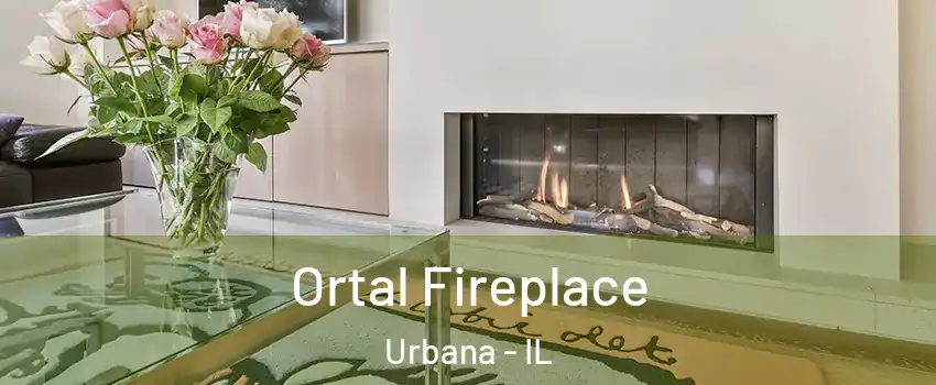 Ortal Fireplace Urbana - IL